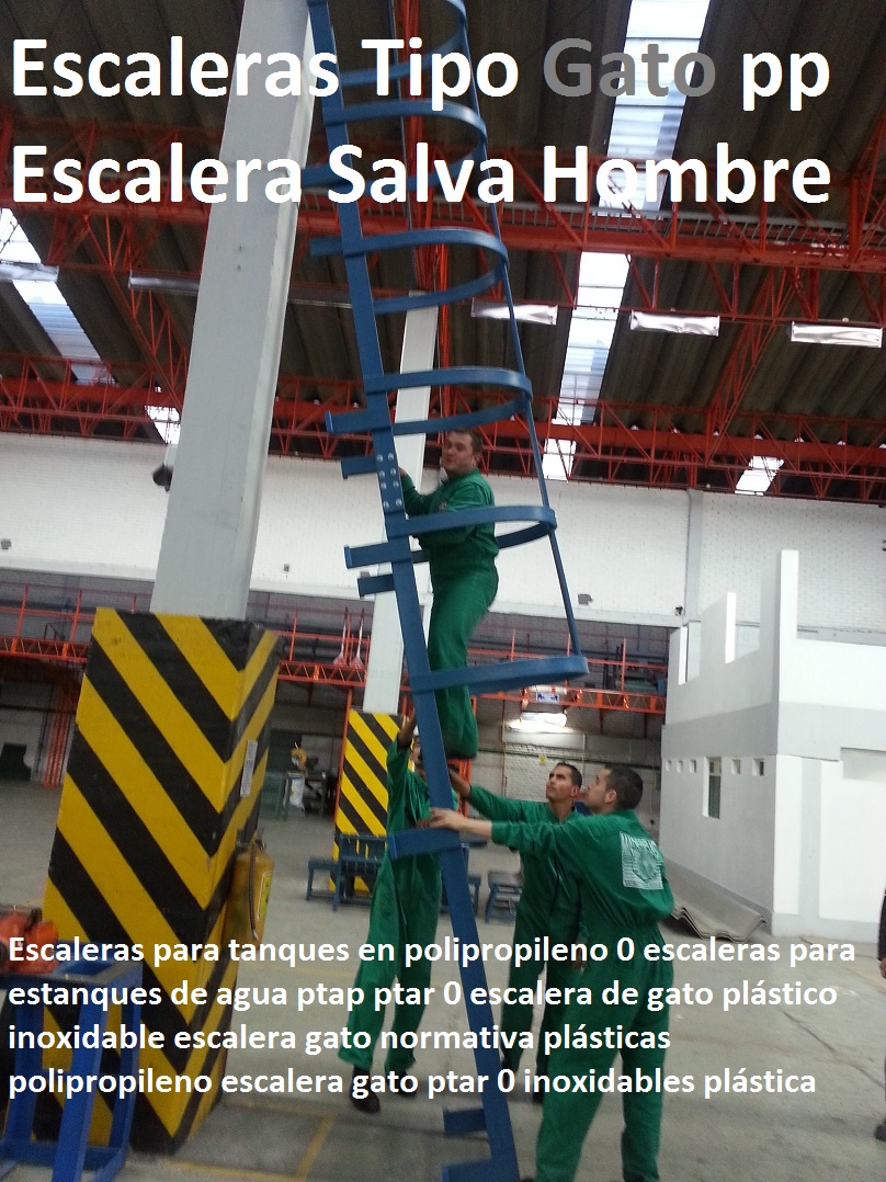 Escaleras para tanques en polipropileno 0 escaleras para estanques de agua ptap ptar 0 escalera de gato plástico inoxidable escalera gato normativa plásticas polipropileno escalera gato ptar 0 Escaleras para tanques en polipropileno 0 escaleras para estanques de agua ptap ptar 0 escalera de gato plástico inoxidable escalera gato normativa plásticas polipropileno escalera gato ptar 0 Escaleras para tanques en polipropileno 0 escaleras para estanques de agua ptap ptar 0 escalera de gato plástico inoxidable escalera gato normativa plásticas polipropileno escalera gato ptar 0